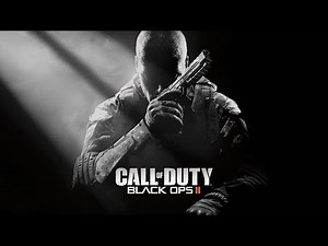 COD Black Ops 2 on 8gb ram & Intel Iris Xe Graphics
