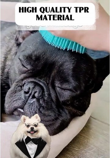 Relaxing Dog Bath Time: Grooming and Massage Tips
