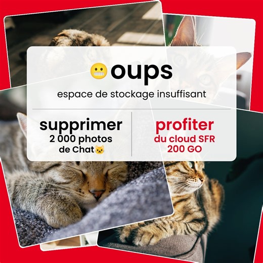 Vous aimez votre petite boule de poils ? 🐱​ Découvrez notre option SFR Cloud 200 GO qui vous permet de stocker jusqu’à 10 000 photos et 20h de vidéos ! Avec ça, vous pouvez garder toutes les aventures de Tigrou 🐈❤️​ Plus d’infos ici 👉 https://www.sfr.fr/options/cloud200-sfr | SFR