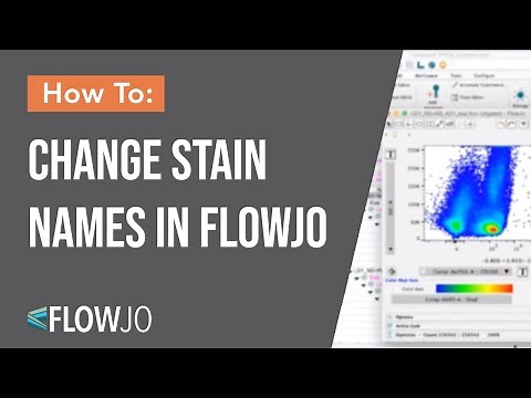 Change Stain Name in FlowJo