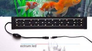 WaterRebirth Aquarium Lights Fish Tank Light 10 20 30 55 Gallon Planted Aquarium LED Light with Switch (18-24")