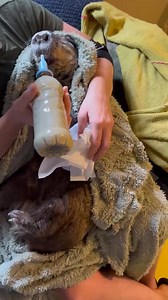 74K views · 6.9K reactions | I haven’t shared an update about Ruby...