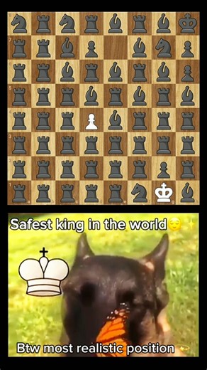 Safest king in the world😂#chess #chessgame #chessmemes