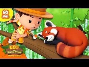 RED PANDA IS ASLEEP?! ⏰ | 1 HOUR | Cutest Animals | Leo the Wildlife Ranger | Kids Cartoons