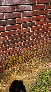 So Satisfying To Clean Up! #powerwashing #SpringCleaning #springtime #cleanup #remodel #WalkerFarmFam | Walker Farm Fam