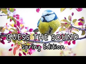 Guess the Spring Sound for Kids | Fun Spring Sound Quiz | Spring Game 🌸🔊
