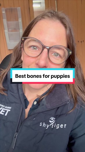 So important to choose the right bones for thise little puppy teeth! #rawbones #rawfeddog #vetadvice #vetstudent #candogseatbones #dontfeedcookedbones