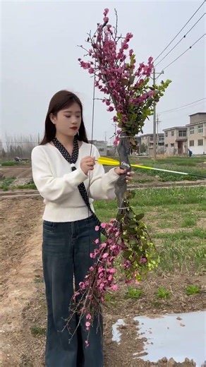 Incredible Bow Crafted from Wildflowers: The Epic Archery Showdown