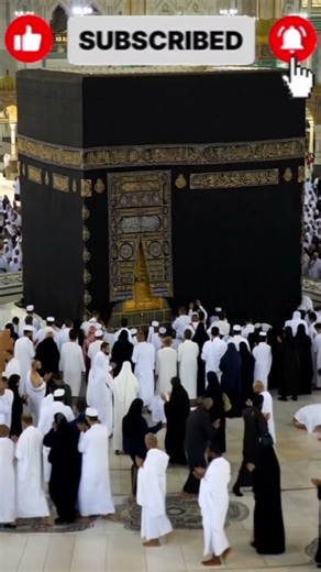 #hay #animals #shatti #hearttouching #kingfahad #vlog #islamicre#answer #beautiful #shaihop #lo