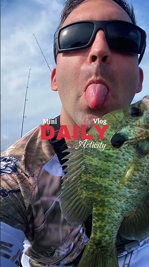 The BEST catches from today’s trip! 🐟💥 #Fishing #BassFishing #largemouthbassfishing
