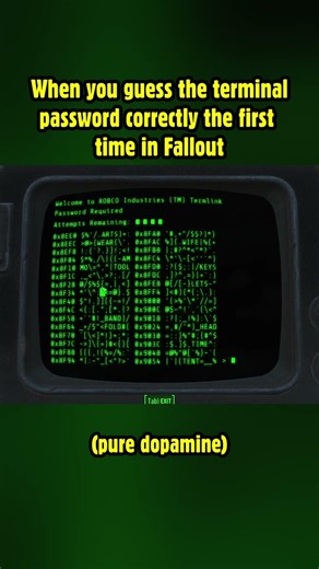 When you guess the terminal password correctly the first time in Fallout! #fallout4
