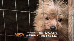 ASPCA TV Spot, 'Each and Every Day'