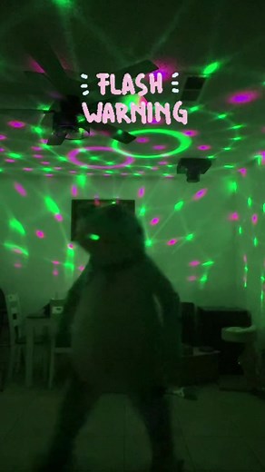 Energetic K-Pop Frog Dance Compilation