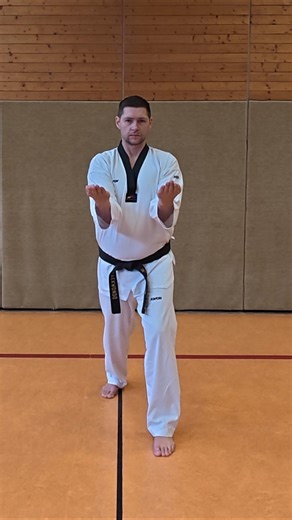 Sonnaldeung Hecho-makki Mastery - THE DOUBLE BLADE DEFENSE! 🥋⚔️ #Taekwondo #Martialarts #Fight