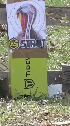 4 year old pattern his 410 for turkey