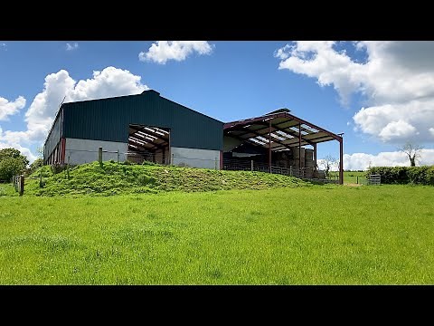 Buildings Focus: A grant-spec sheep shed for a 300-ewe flock in Co. Cavan