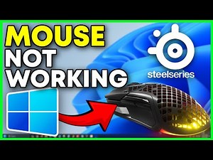 How To Fix SteelSeries Mouse Not Working in Windows 10/11