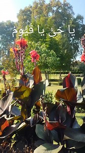 Amazing view #beautifullvideo | Explore Mountain