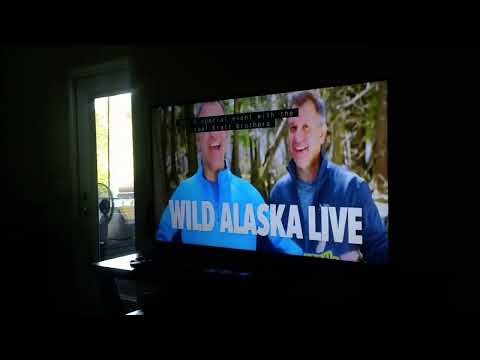 PBS Kids Program Break (2017 Rootle)