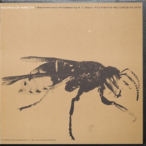 A. T. Gaul - Sounds Of Insects