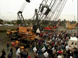How to Buy Heavy Equipment at our On-site Auctions In Person | Ritchie Bros.