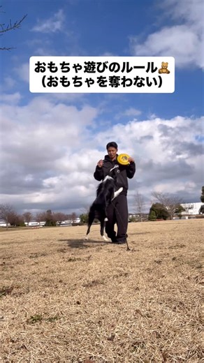 BOND YT DOG 《出張トレーニング》 on Instagram: "おもちゃ遊びのルール🧸（おもちゃを奪わない） こんにちは！ BOND YT DOGです！ おもちゃ遊びの中でもルールを作ってあげると おもちゃを勝手に取りに来ない、 手ごと噛みにこないなどのメリットがあります😊 良かったら参考にしてみてください！ BOND YT DOGでは、お困り事以外にもこんな事できるようになりたい！などのご相談も対応しておりますので、お気軽にお問い合わせください。 ご予約、お問い合わせはLINE、または電話にてお願いします。 LINEはプロフィールのリンクから追加できます。 （※トレーニング中などにより電話に出れない事があります。） BOND YT DOG《出張トレーニング》 代表 齋藤貴輝（さいとうたかてる） TEL 080-8846-1279 #出張トレーニング #ドッグトレーナー #遊び #千葉県 #東京"