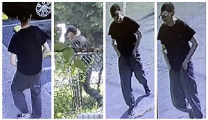 Man Tried Sex Act With Dog In Lancaster Yard—Twice, Police Say; Suspect ID’d