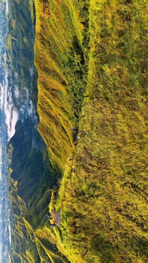 Mount Megatong is one of the scenic hiking destinations in Mindanao 🍃⛰️ #Dtravelsensetour #DareToWander #WanderWithUs | D'Travel Sense Tour