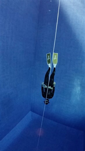 Phoenix Freedive Jakarta on Instagram: "The freefall 🌬 #freediving #freedive #underwater #freediver"