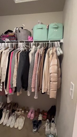 Transform Your Closet with $37 Target Bookshelf Hack