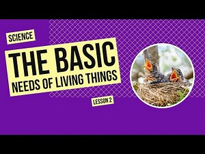 The Basic Needs of Living Things | Science Lesson