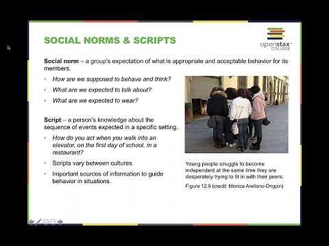 OpenStax Psychology Chapter 12: Social Psychology