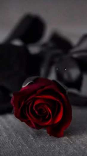 💔😭#foryou #foryoupage #pktiktokofficial #urpartner #featureme #tiktok #invisiblemeal