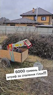 6000 hryvnia fine for burning branches!!! #fine #firewood #ecology #tree #forest @arpal_vin