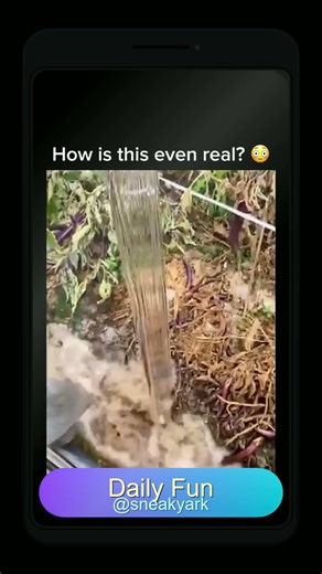 Mind-Blowing Concepts You Can’t Ignore