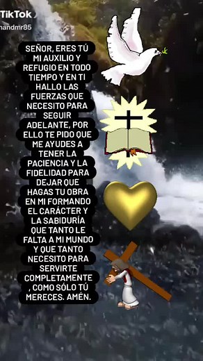 Animated Dove Symbolizes Hope and Guidance