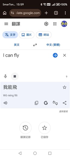 如何使用google translate