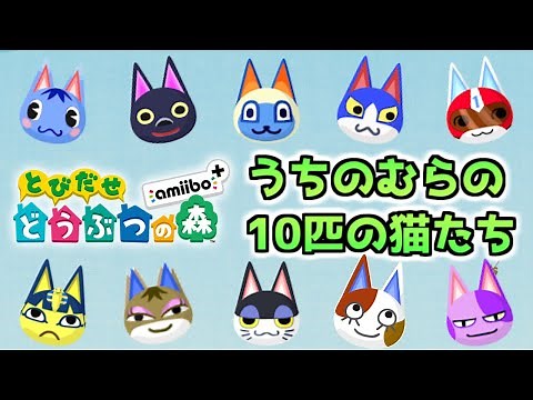 10匹のかわいい猫住民たちとひたすら戯れる【とびだせどうぶつの森】