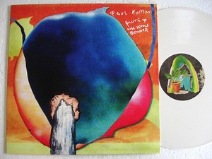 Taos Humm - Flute Of The Noodle Bender