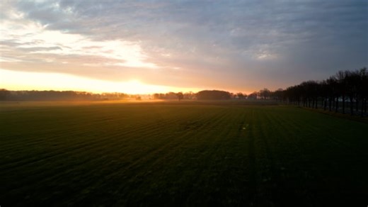 Morning, Sunrise, Road. Free Stock Video