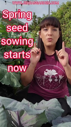 Do not wait until spring to get started sowing seeds and planting. Depending on what your growing, it can take 1-3 months for seedlings to get to transplant size. If your last spring frost date is in January, February, or March, then you need to get started now. If you need ideas or just want to see what I am sowing/planting this month, then check out my January Garden Guide video on my YouTube channel. I review lots of crop ideas along with important tips to be successful growing them. Direct l