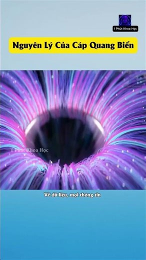 Principle of submarine optical cable