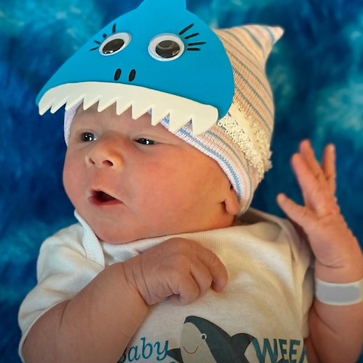 129K views · 339 reactions | There are a bunch of newborn “baby sharks” swimming around at this Kansas City hospital and their photos are all jaw-droppingly cute  Brought to you by Yahoo Mobile! | In The Know | Facebook