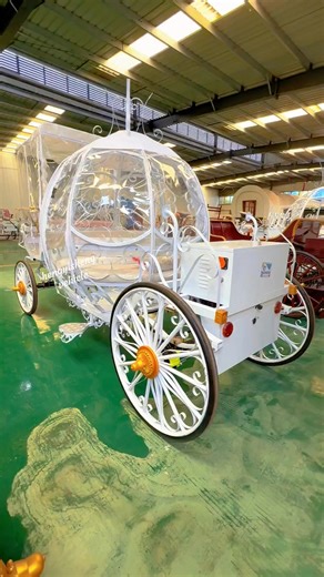 Princess dreams come true 👑 This princess carriage is every little girl’s (and big girl’s!) fantasy. Who’s booking their ride? 🎀 #PrincessCarriage #DreamComeTrue"#horselesscarriage #HorseCarriageElegance #carriagehorse #chariot #princesscarriage #CinderellaCarriage #royalvibes #christmasvibes | Hengyisheng Vehicle