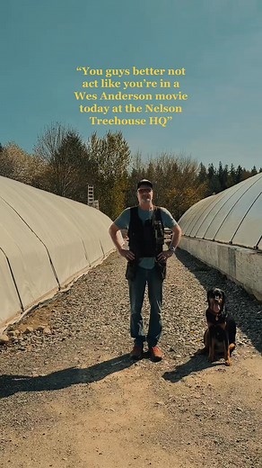 treehouse masters but make it wes anderson 🏕️✏️🚚 #treehousemasters #wesanderson #nelsontreehouse #dayinthelife #vlog #petenelson #wesandersontrend #construction | Nelson Treehouse