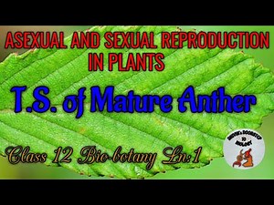 T.S. of mature anther in tamil | Asexual and sexual reproduction in plants.