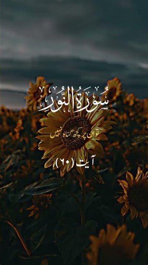 Surah Al Noor |Ayat 60 | #quran #quranrecitation #qurantilawat