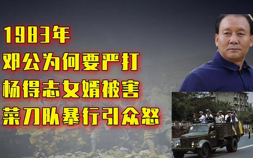 1983年，为何全国进行严打？起因有三个！