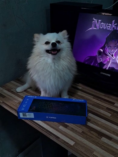 Fortrek Fearless 65 entrega conforto, simplicidade e um custo-benefício que surpreende — ideal pra quem quer um teclado compacto sem gastar muito. Fortrek Fearless 65 delivers comfort, simplicity, and surprisingly good value — a compact keyboard made for everyday use without overspending. @fortrek.oficial #setup #techtok #desksetup #keyboard #fortrek