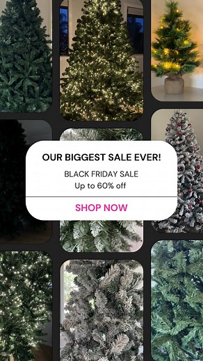 21K views |  Black Friday Magic Starts Here Your perfect Christmas tree is waiting - but not for long. Save up to 60% on trees, décor & festive favourites during our biggest sale ever, on now.  Free Metro Delivery* • ⭐ 1,000+ 5★ Reviews • ⚡ Stock Selling Fast Don’t miss out — once they’re gone, they’re gone! *T&Cs apply. | Homecoze | Facebook